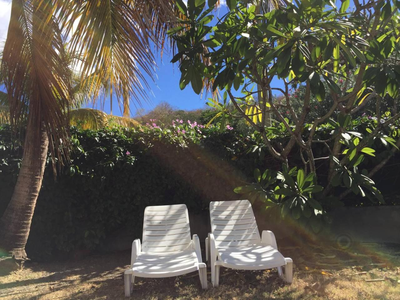 T2 Tropical En Bord De Piscine A 100M De La Mer Apartman Le Carbet Kültér fotó